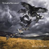 Rattle That Lock ~ LP x1 180g